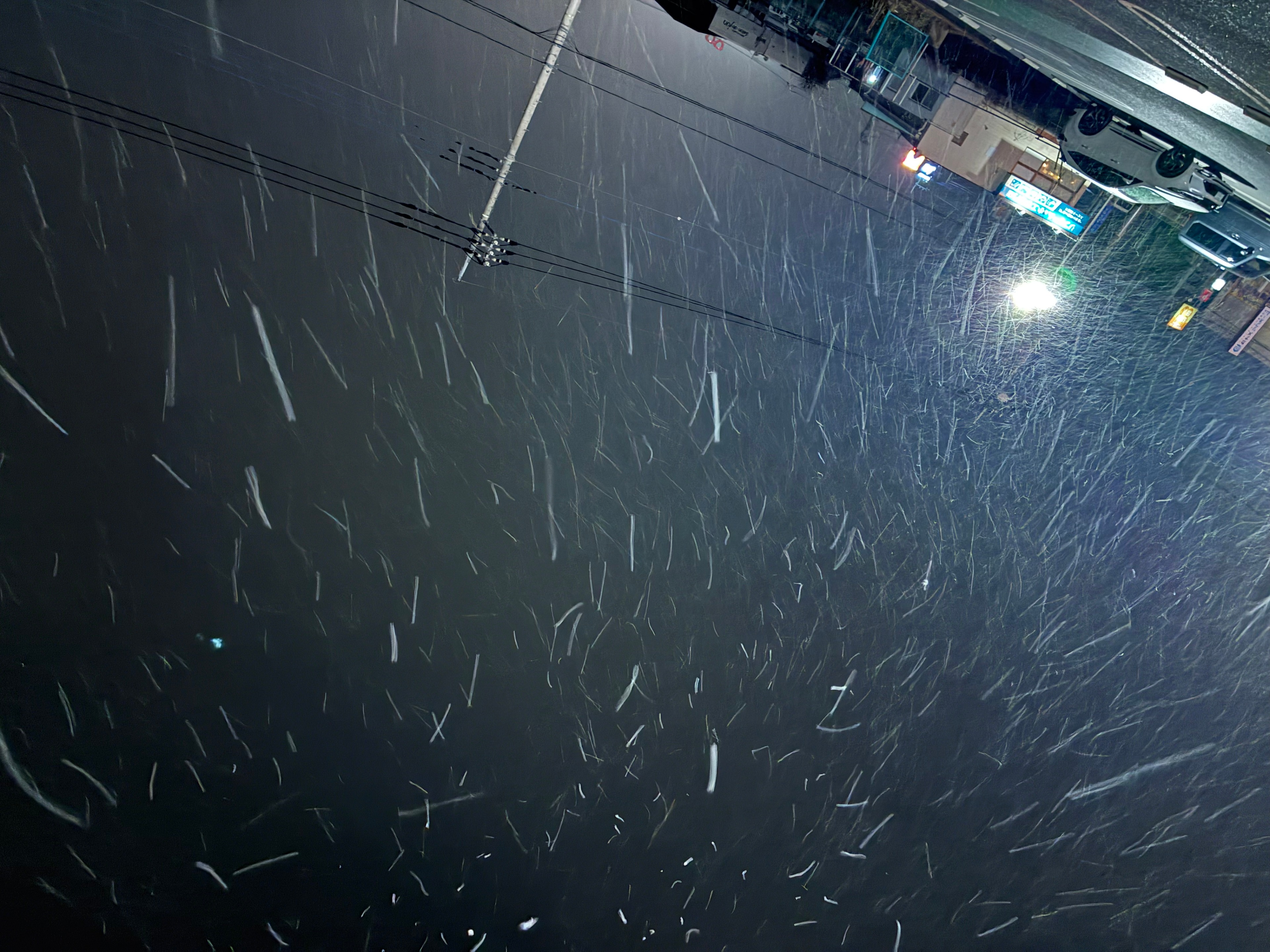 ホームページを開設いたしました。